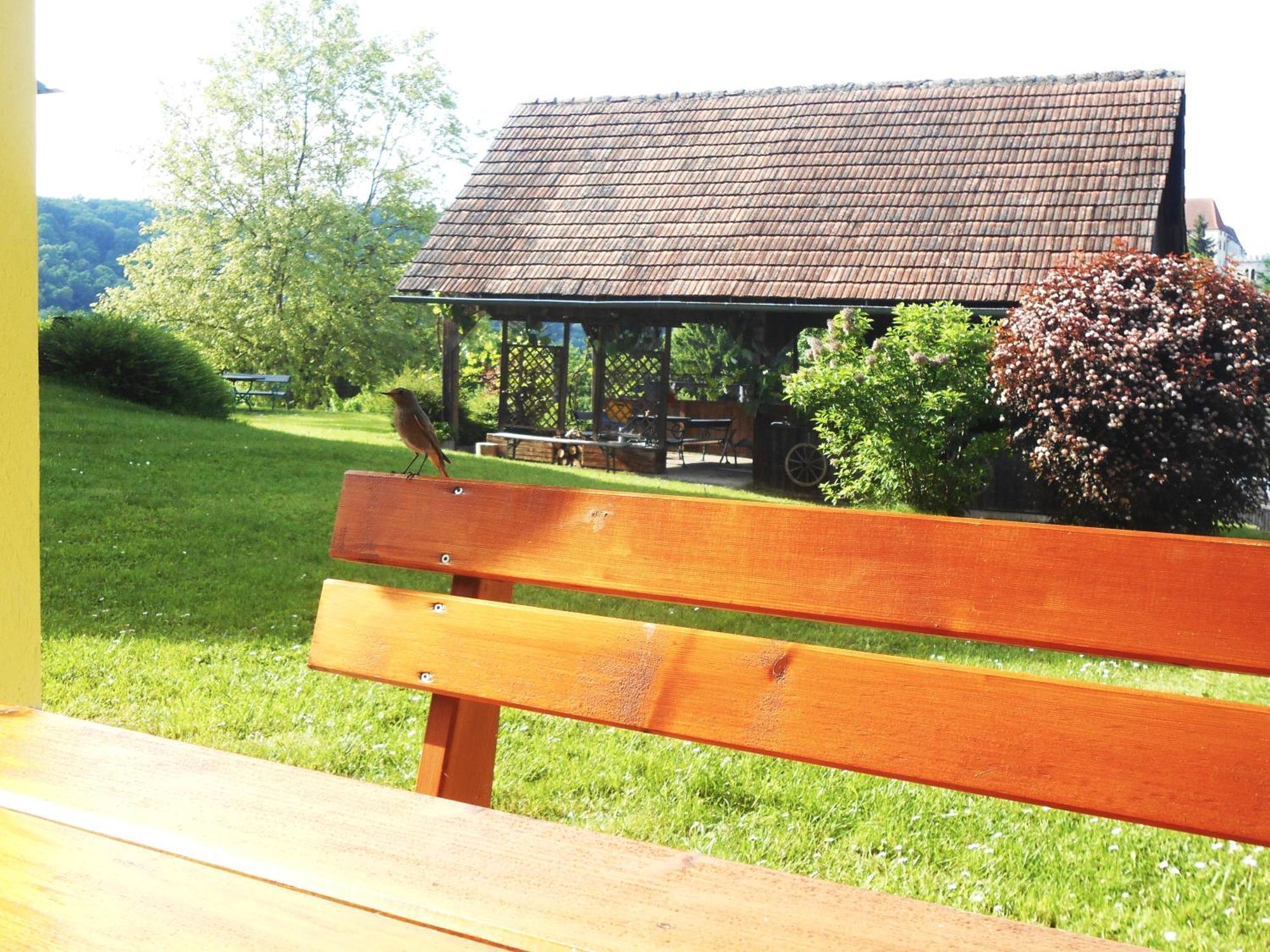 Ferienwohnungen Karin Am Seggauberg Leibnitz Eksteriør billede